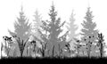 Grass with wild weeds on background of fir trees, silhouettes. Vector illustration Royalty Free Stock Photo