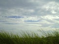 Grass wind and sky Royalty Free Stock Photo