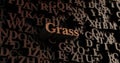 Grass - Wooden 3D rendered letters/message