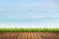 Grass on wooden floor and mountain background Royalty Free Stock Photo