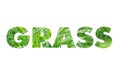 Grass word concept