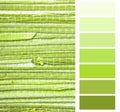 Grasscloth wallpaper color chart