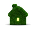 Grassed house Royalty Free Stock Photo