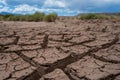 Grasses Behind Thick Cracks in Mud Royalty Free Stock Photo