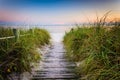 Grasses and fence along path to Smathers Beach at sunset, Key We Royalty Free Stock Photo