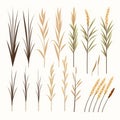 Vibrant Grasses: A Stunning Collection Of Flora In Flat Brushwork