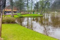 Grassfield in the park at Keukenhof Royalty Free Stock Photo