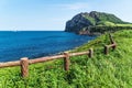 Grassfields with fence leading along the ocean and Ilchulbong in the background, Seongsan, Jeju Island, South Korea Royalty Free Stock Photo