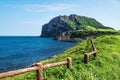 Grassfields and fence with view over ocean and Ilchulbong in the background, Seongsan, Jeju Island, South Korea Royalty Free Stock Photo