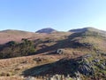 By Grassgarth Coppice above Buttermere