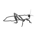 Grasshoper black color icon .