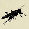 Grasshoper - grunge texture on vintage paper