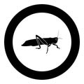 Grasshoper icon black color in circle