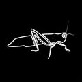 Grasshoper it is icon .