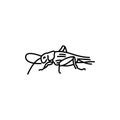 Grasshopper black line icon.