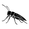 Grasshopper black vector icon on white background Royalty Free Stock Photo