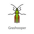 Grasshopper color icon