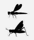 Grasshopper and Dragonfly Silhouettes
