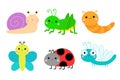 Grasshopper, dragonfly, snail, ladybug ladybird, butterfly, lady bug, caterpillar, catapillar. Insect set. Cute cartoon funny
