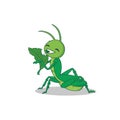 grasshopper eating leaf cartoon vector illustration
