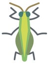 Grasshopper flat icon. Green insect. Wild fauna