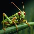 grasshopper of grass. generative ai