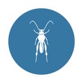 grasshopper icon. Element of insect icons for mobile concept and web apps. Badge style grasshopper icon can be used for web and mo