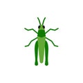 Grasshopper insect cricket single flat vector icon