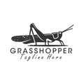 grasshopper insect illustration logo