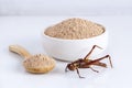 Grasshopper insect powder. Orthoptera flour for Insects eating as food edible items made of cooked insect meat in bowl and spoon