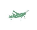 Grasshopper, locust, insect, nature, animal and pests, silhouette and graphic design Royalty Free Stock Photo