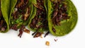 Grasshopper mexican green tacos