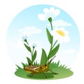 Grasshopper sitting on a flower field. Life of insects. Children's illustration