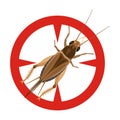 Grasshopper vector icon.Cartoon vector icon isolated on white background grasshopper. Royalty Free Stock Photo
