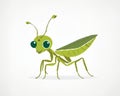 Grasshopper on white background. illustration