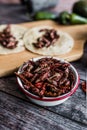 Grasshoppers or chapulines snack. Traditional mexican food from Oaxaca Mexico Royalty Free Stock Photo