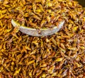 Grasshoppers in a pile ready for sale Royalty Free Stock Photo