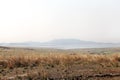 Grassland along Pench reservoir, Pench Tiger Reserve