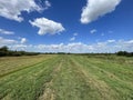 Grassland around Rohel in Friesland