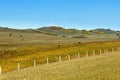 grassland autumn scenery Royalty Free Stock Photo