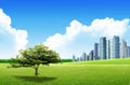 Grassland with city Royalty Free Stock Photo