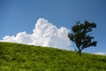 grassland, clouds and blue sky Royalty Free Stock Photo