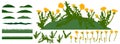 Grassland, constructor kit. Beautiful dandelion flowers, grass. Collection of element for create spring meadow. Vector
