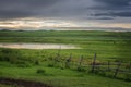 Grassland at Dust Royalty Free Stock Photo