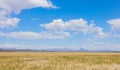 Grassland Farming Area of the Karoo Semi-desert in South Africa