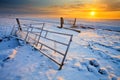 Grassland and fence in winter Royalty Free Stock Photo