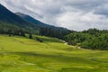 Grassland, Forests, and Mountains in Lunang, Nyingchi, Tibet Autonomous Region Royalty Free Stock Photo