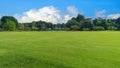 Grassland green field with trees and blue sky white cloud