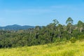 Grassland Green meadow and mountains Khao Yai National Park