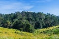 Grassland Green meadow and mountains Khao Yai National Park Royalty Free Stock Photo